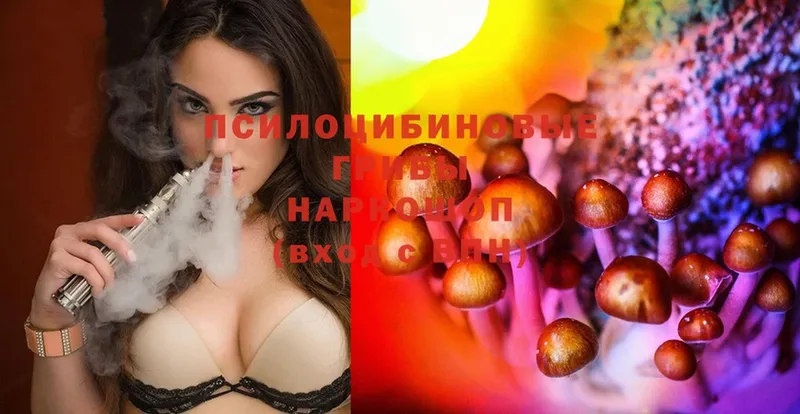 нарко площадка официальный сайт  Белая Калитва  Псилоцибиновые грибы Magic Shrooms 